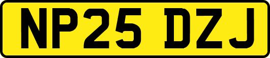 NP25DZJ