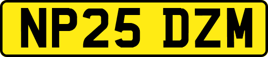NP25DZM