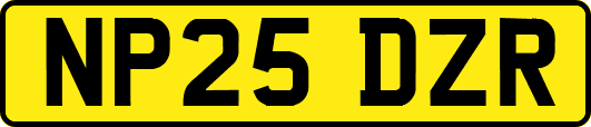 NP25DZR