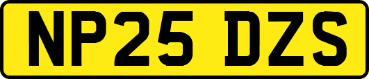 NP25DZS