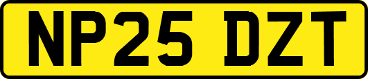 NP25DZT
