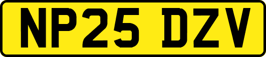 NP25DZV