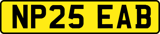 NP25EAB