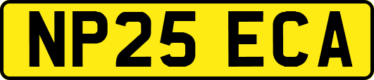 NP25ECA