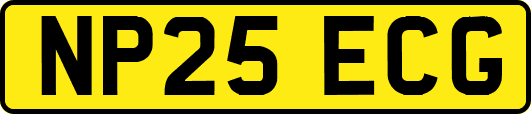 NP25ECG