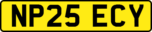 NP25ECY
