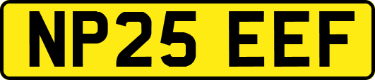 NP25EEF