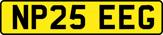 NP25EEG