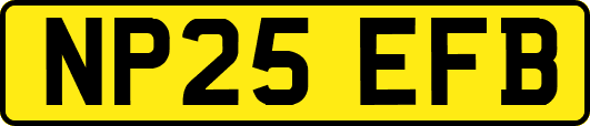 NP25EFB
