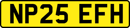 NP25EFH
