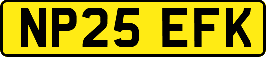 NP25EFK