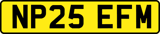 NP25EFM