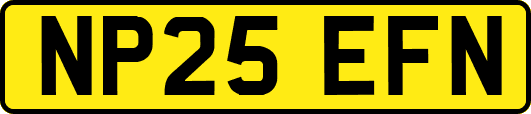 NP25EFN