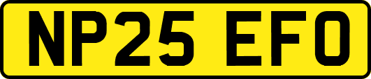 NP25EFO
