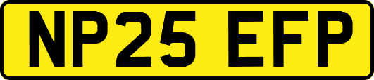 NP25EFP