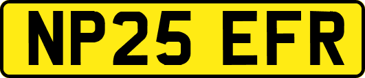 NP25EFR