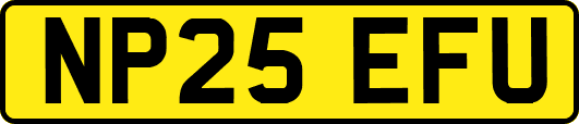 NP25EFU