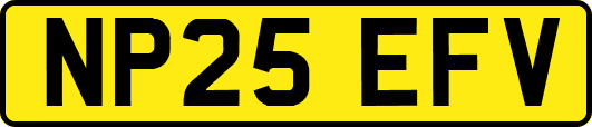 NP25EFV