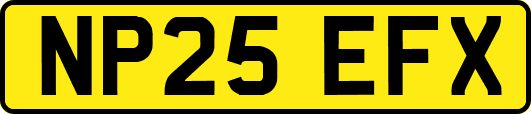 NP25EFX