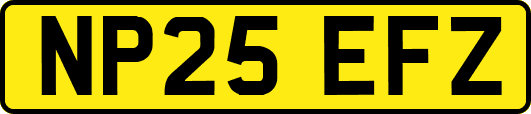 NP25EFZ