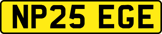 NP25EGE