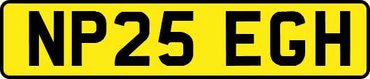 NP25EGH
