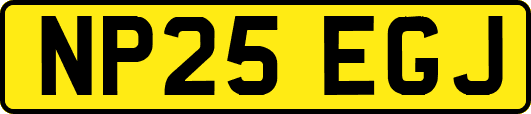 NP25EGJ