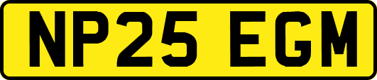 NP25EGM