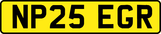 NP25EGR