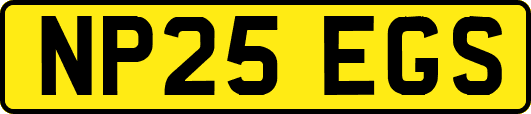 NP25EGS