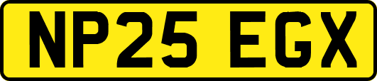NP25EGX