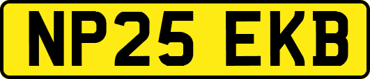 NP25EKB