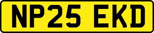 NP25EKD