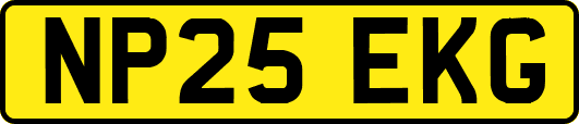 NP25EKG