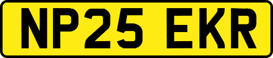 NP25EKR