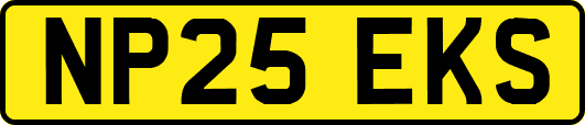 NP25EKS