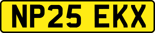 NP25EKX