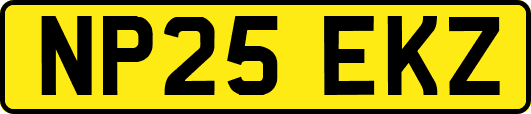 NP25EKZ