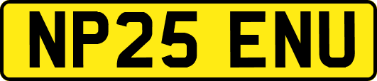 NP25ENU