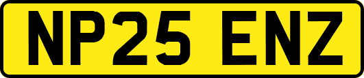 NP25ENZ