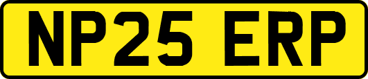 NP25ERP