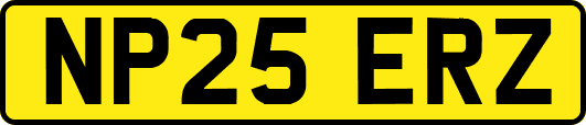 NP25ERZ