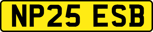 NP25ESB
