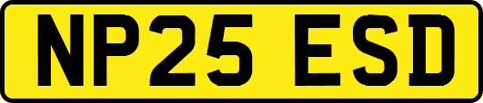 NP25ESD
