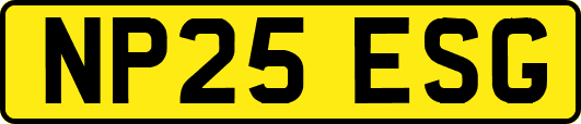 NP25ESG