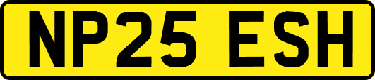 NP25ESH