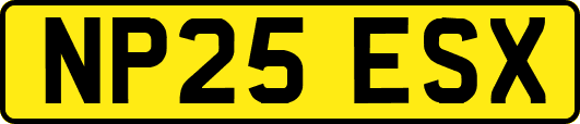 NP25ESX