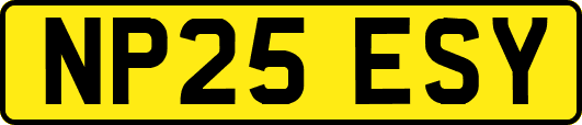 NP25ESY