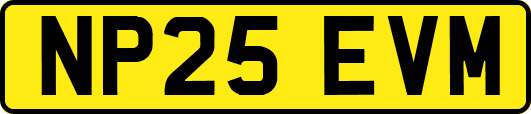 NP25EVM
