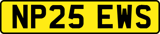 NP25EWS